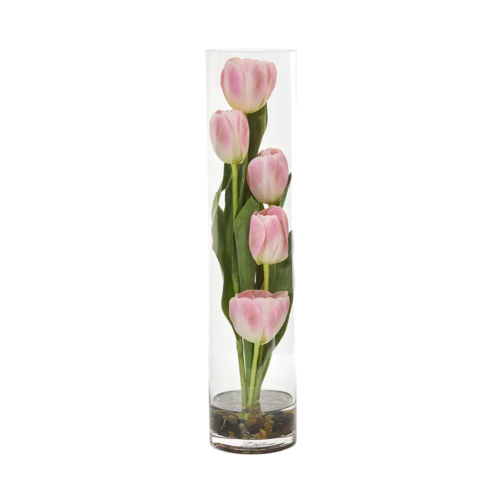 18 Tulipe Sonate Rose
