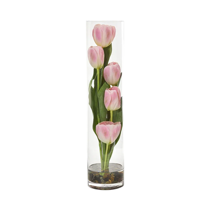 18 Tulipe Sonate Rose