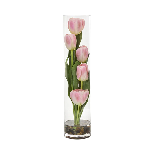 18 Tulipe Sonate Rose