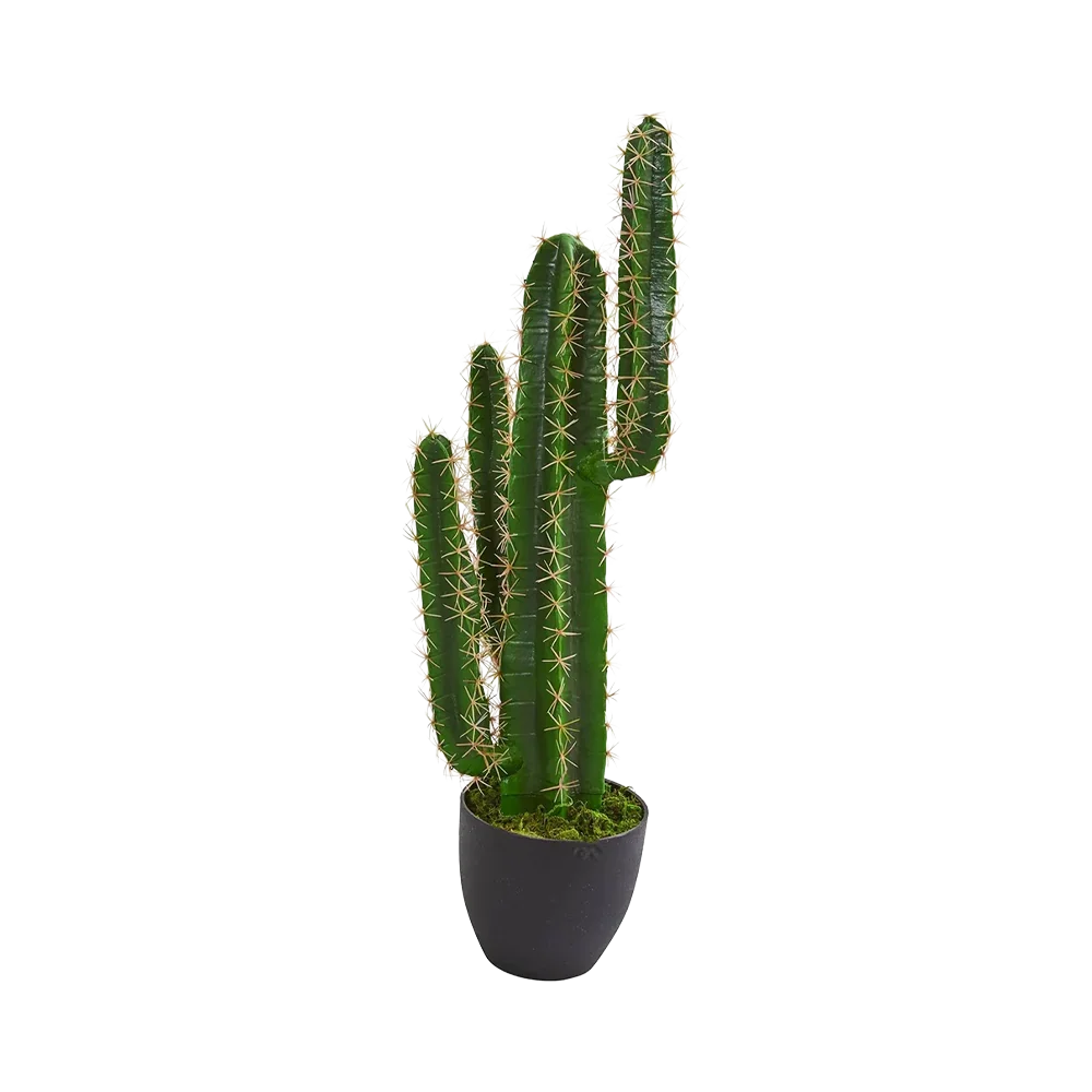 décorer