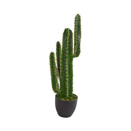 décorer